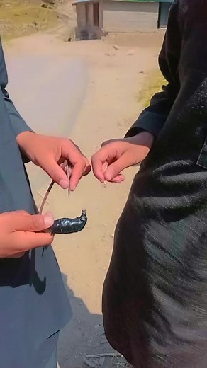 Funny Moments Compilation You Can't Miss