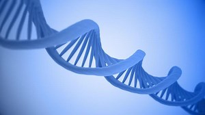 Download Science motion background animation with a close up view of rotating DNA double helix strands. This genetics concept background is full HD and a seamless loop. for free