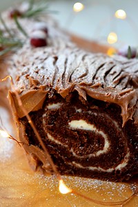 Xmas Chocolate Yule Log Recipe | The Cake Boutique