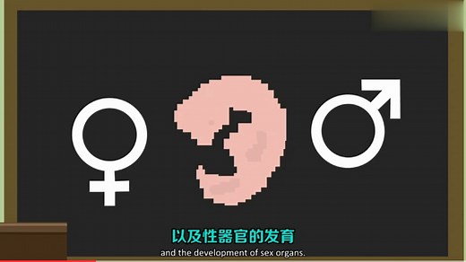 睾丸酮对你的身体有什么作用