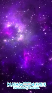 3.7K views · 52 reactions | MANDA MENSAJE AL NÚMERO DE DUSHA LEYSIS +52 55 2851 6369 | SIN MIEDO | Facebook