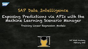 SAP Data Intelligence ML Scenario Manager  (05) Training Models i