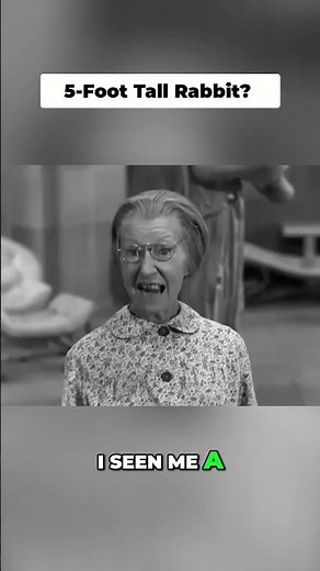 A 5-Foot Rabbit?! #beverlyhillbillies