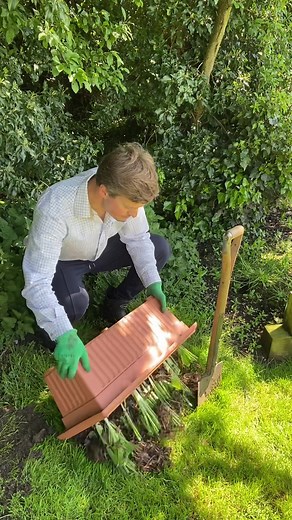 Tom Strowlger on TikTok