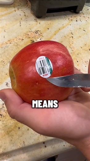 . . . . . #FactInsight #DailyFactWorld #MindBlowingFactsHub #DidYouKnowClipsDaily #FunFactShareHub #ViralKnowledgeDaily | Universal AZ