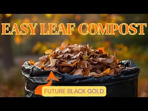 Skip the Fancy Composting, Do This Instead