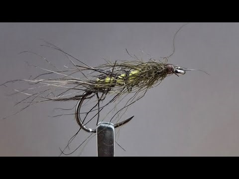Super Pupa Fly Pattern messy style