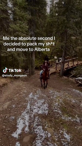 This song has been stuck in my head since i heard it #alberta #horse #memorecowboy #cowboy #cowgirl #ab #quebec #moving #college
