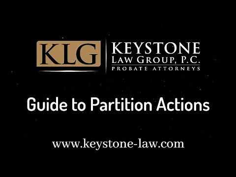 Guide to Partition Actions