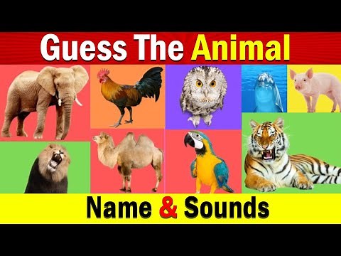 Guess The Animal Sounds For Kids | Animal Sounds Game Preschool | Learn Farm Animals Names & Sounds