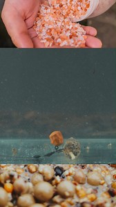 Learn how to quickly and easily turn any of your particles into PVA friendly products! 👀 The options really are limitless, give it a go this spring! 🎣🌤️ #NashTackle #Nashbait | Nash Tackle