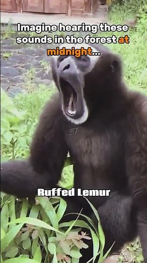 Terrifying Animal Sounds You Never Want to Hear 🦉