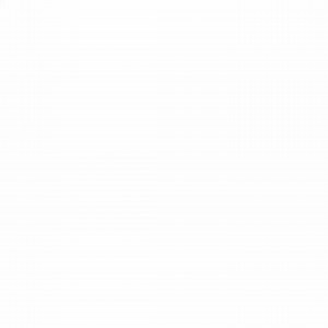 Lone Star starters! Kroger | #CBJ | Columbus Blue Jackets