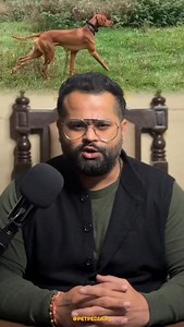 83K views · 4.6K reactions | The Pointer isn’t a casual pet. It’s a high-drive working dog that demands time, structure, and purpose. Choose this breed only if your lifestyle can match its intensity.‍了 #petpediaa #PointerDog #DogBreedFacts #WorkingDog #DogOwnership | Petpediaa | Facebook