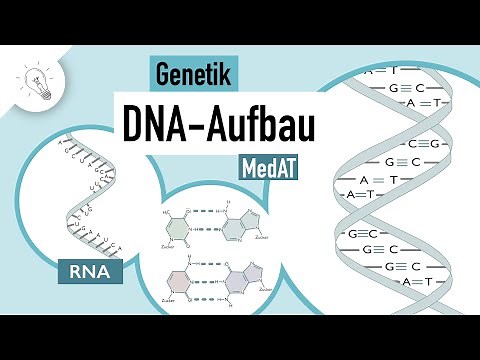 DNA structure | Genetics | MedAT | Biology