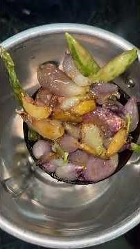 🥥 தேங்காய் இல்லாமல் 🌴 தேங்காய் சட்னி 🍲 No Coconut Coconut 😋 Chutney Recipe 🥘