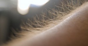 Arm Hair Rising Emotional Feeling 4k Stock Footage Video (100% Royalty-free) 1027919156 | Shutterstock