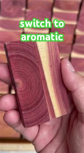 Moths HATE This Natural Closet Hack