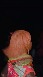 B Omo Valley Tours and Travel enjoy your summer time Ethiopia Travels Guide @Ethiopia Travel From | Omo Valley Tours and Travel enjoy your summer time