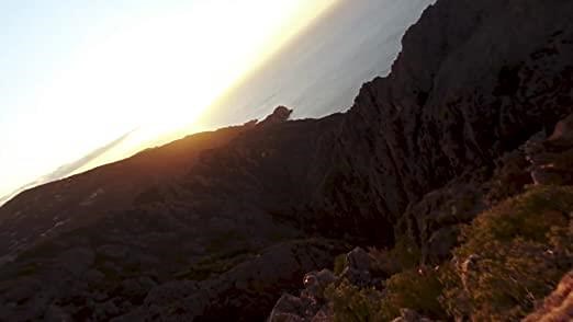 Osprey Exos 38 Men's Lightweight Hiking Pack - Tunnel Green (LG)