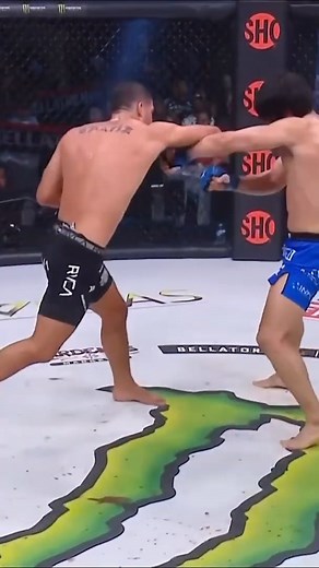 This is masterful technique and patience for a crazy KO 🤯 #mma #knockout | PFL MMA Live