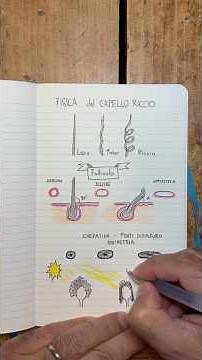 La fisica del capello riccio! #fisica #scienza #capelli #taccuino