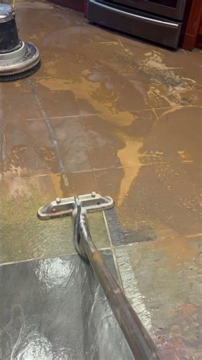 Tile and grout cleaning done. Slate tiles. Natural Stone. 647-949-9801