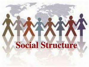 Social Structure - SlideServe
