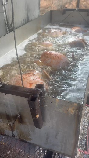 John Mcclellan on Reels