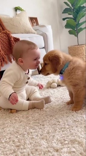 Baby Meets Puppy For The First Time!