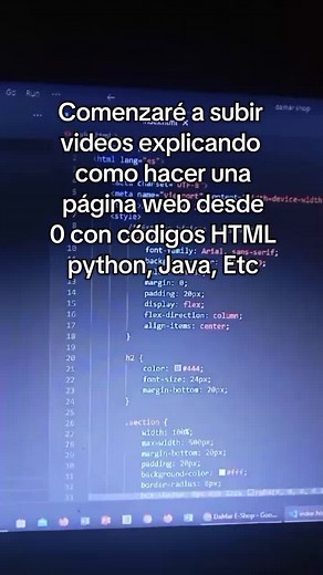 programador_web1 on TikTok