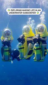 Exploring Marine Life In An Underwater Subscooter In Mauritius I went underwater & was the pilot of my own underwater subscooter and enjoyed the rich marine life of Mauritius. No need to learn swimming or underwater breathing skills! #Reels #ReelsInstagram #FeelItReelIt #FeelKaroReelKaro #BornOnInstagram | Kamiya Jani