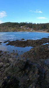 Teachers: Let your students join Parks staff to discover tide pools and the creatures that live within through our virtual field trips 🐠⭐️🌊 This highly interactive program is specifically designed to support K-5th Next Generate Science Standards. Students will get to study tide pool specimens and explore underwater through the lens of Parks’ underwater camera. Visit https://outlook.office365.com/book/parks-DeceptionPassTours@parks.wa.gov/s/eCRfzrJudE289_vE_Y09cw2 to sign up or email DeceptionP
