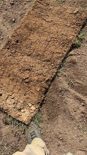 Exploring Freshly Turned Brown Soil in Outdoor Settings