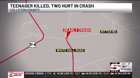 New reports reveal teen as victim of deadly Colleton County 2-car crash