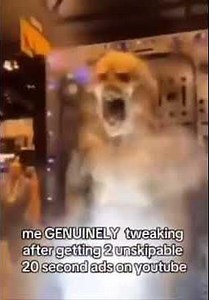 Me genuinely tweaking after getting 2 unskipable 20 second ads on YouTube #memes #itsgametime