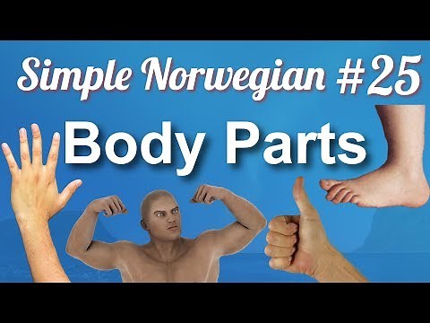 Simple Norwegian #25 - Body Parts