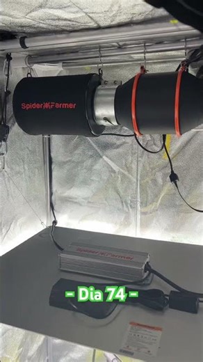 Sistema de Extractor + GGS recien instalado y con guia #growindoor #cultivoindoor