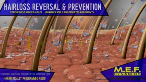 男女脱发治疗，逆转和预防｜M.E.F. Dynamics
