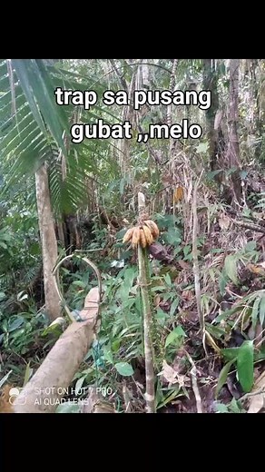 Taga Bukid Ka: Unsay Tawag Ani?