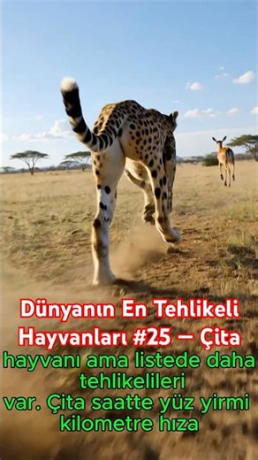 Dünyanın En Tehlikeli Hayvanları #25 — Çita #shorts