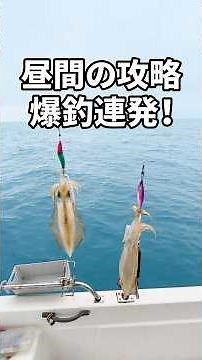 【DAYイカメタル】水深60mで連発！昼間のイカ攻略と勝負の時間帯とは？#イカメタル #DAYイカメタル #ケンサキイカ #船釣り #オフショア