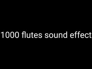 1000 Flutes Effect Sound