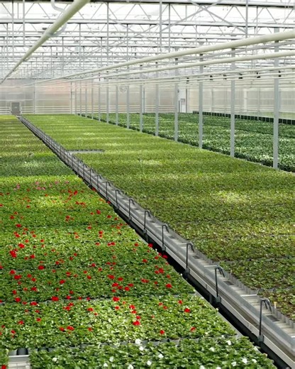 #ttaiso #automation #beyondlimits #ornamentals | TTA-ISO
