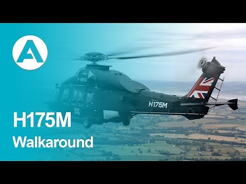H175M walkaround