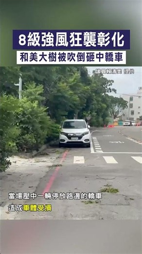 【Typhoon Bavi is here】Force 8 winds batter Changhua, tree in Hemei topples onto car #Shorts