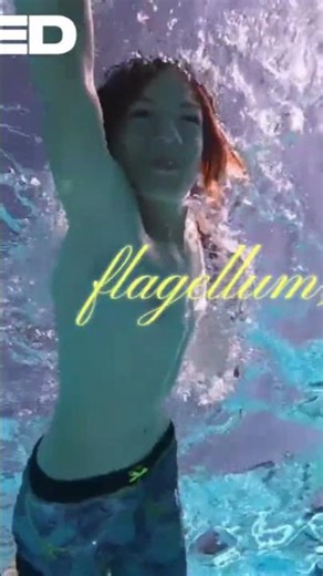 Meet the Euglenoid and know ! Ultimate Flexible Protista [Part 4] #science ##ncert #ncertbiology