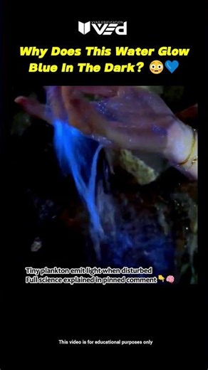 Why Does This Water Glow Blue In The Dark? 😳💙 #shorts
