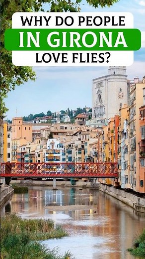 Why do people in Girona love flies?