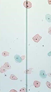 Microscopy & Cytology: Exploring the Building Blocks of Diagnosis